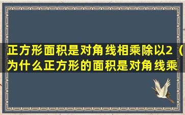 正方形面积是对角线相乘除以2（为什么正方形的面积是对角线乘 🦟 对角线除以二）